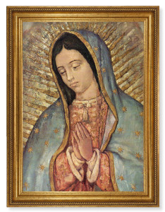 Our Lady of Guadalupe 19x27 Framed Print Artboard [HFA5168]