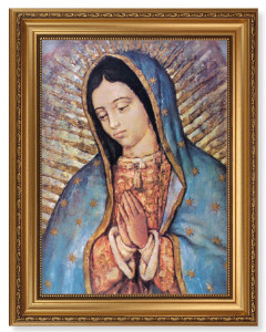 Our Lady of Guadalupe 12x16 Framed Print Artboard [HFA5150]