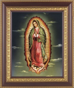 Our Lady of Guadalupe 8x10 Framed Print Under Glass [HFP268]